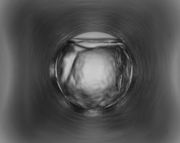 X0000086100095200704132157