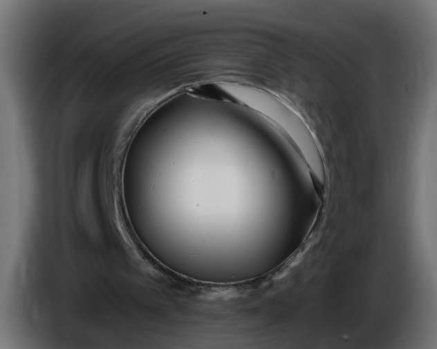 X0000086100097200704132156