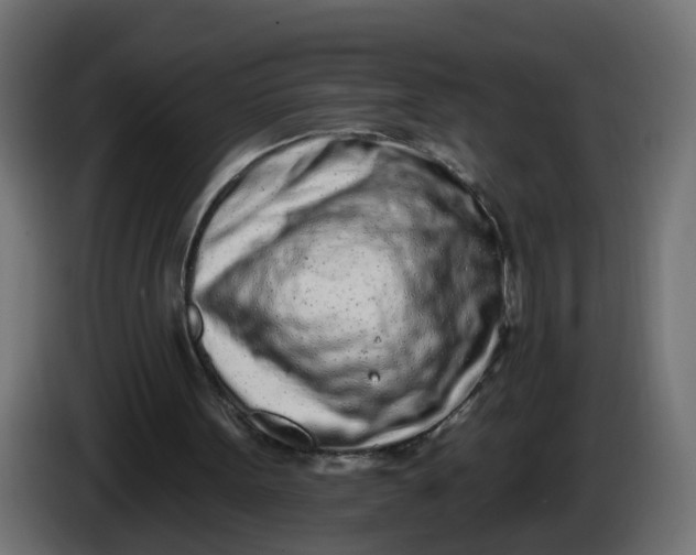 X0000086100099200704132156