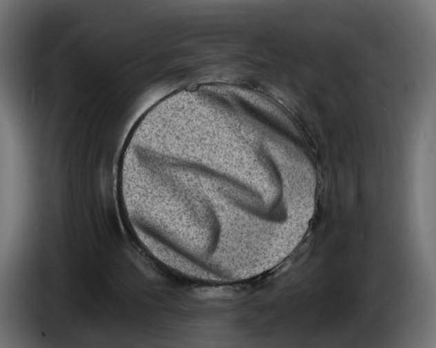 X0000086100100200704132156