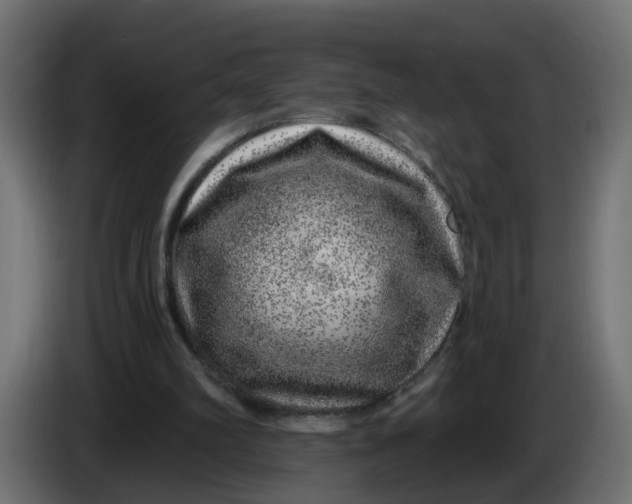 X0000086100102200704132156