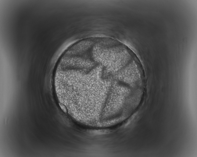 X0000086100103200704132156