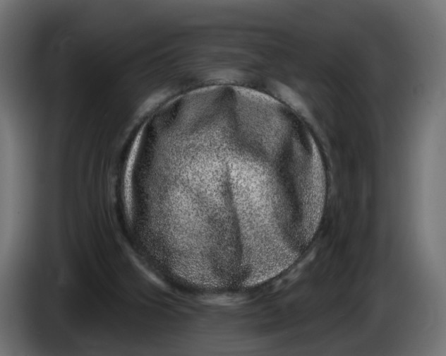 X0000086100106200704132156