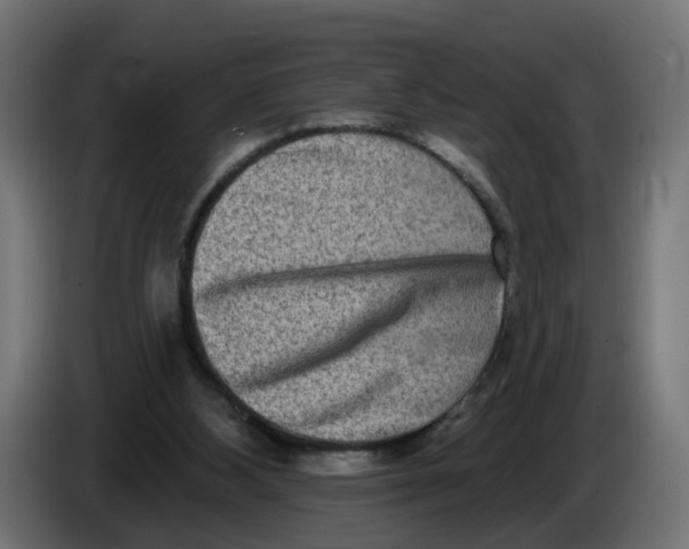 X0000086100108200704132156