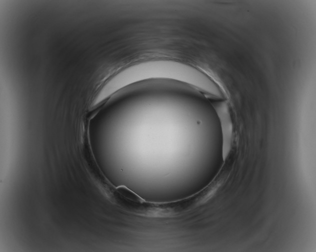 X0000086100109200704132156