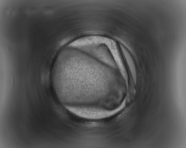 X0000086100111200704132156