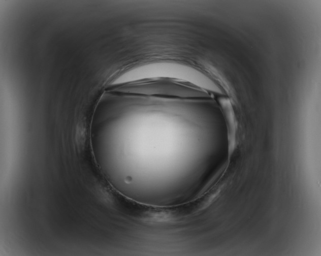 X0000086100113200704132156