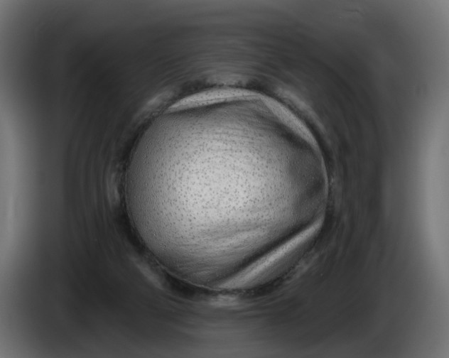 X0000086100114200704132156