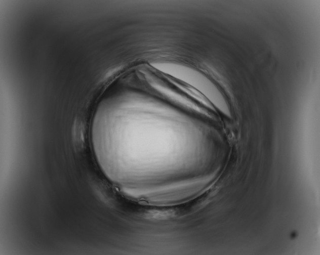 X0000086100115200704132156