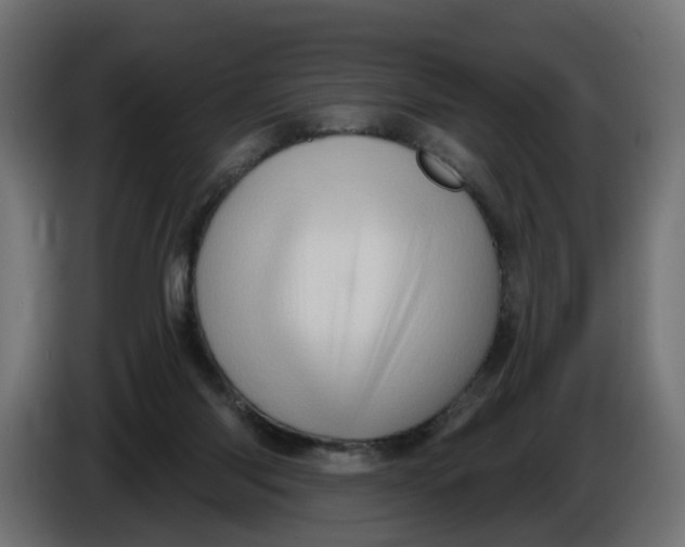 X0000086100118200704132156