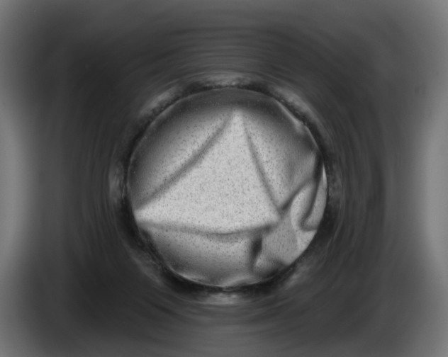 X0000086100119200704132156