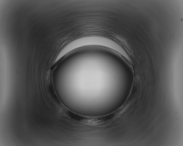 X0000086100121200704132156