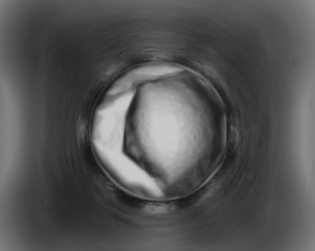 X0000086100123200704132156