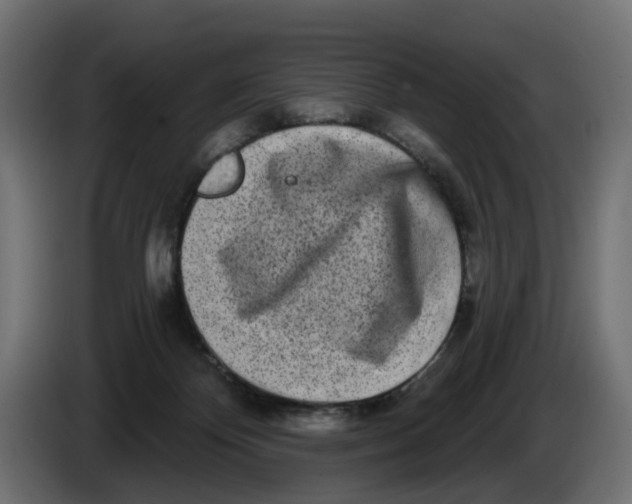 X0000086100124200704132156