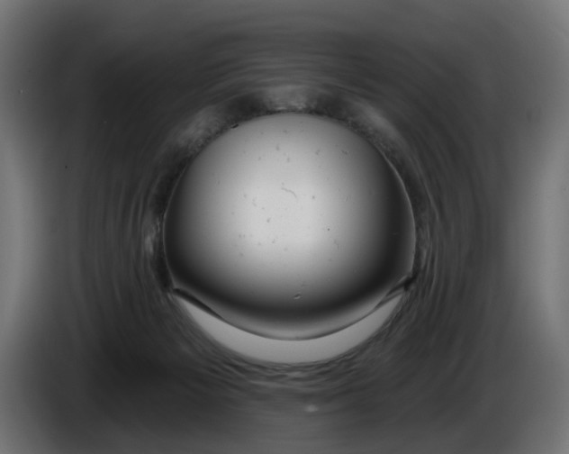 X0000086100125200704132156