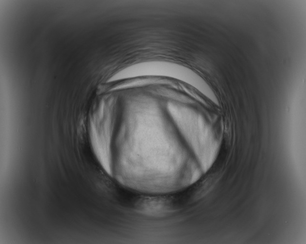 X0000086100127200704132156