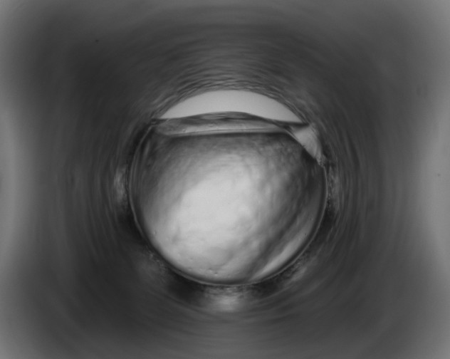 X0000086100131200704132156