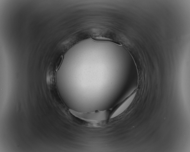 X0000086100137200704132155