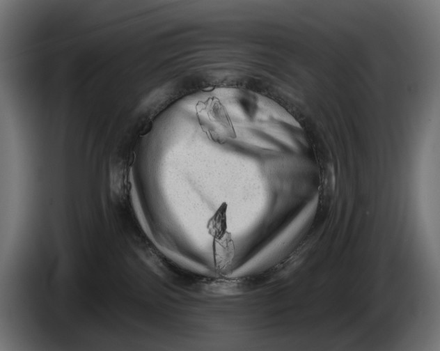 X0000086100138200704132155