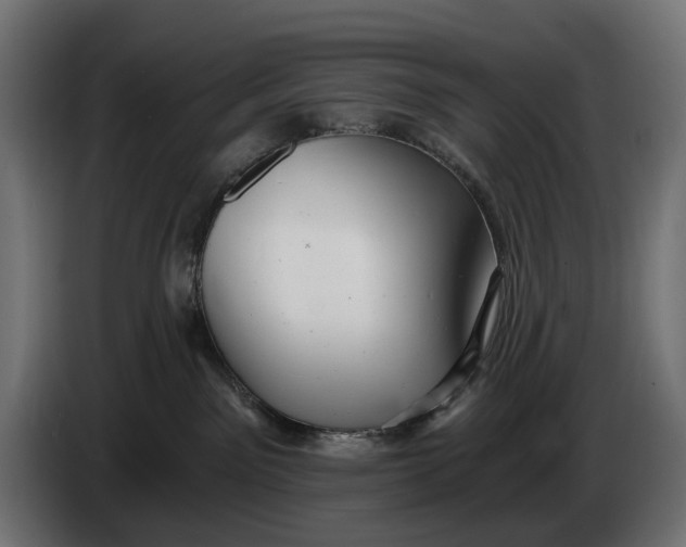 X0000086100141200704132155