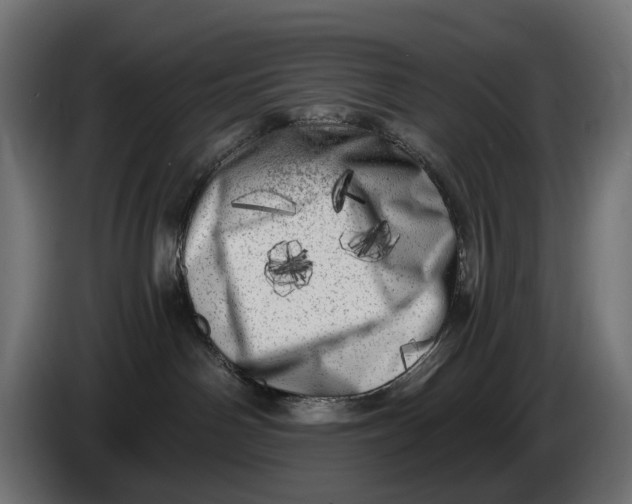 X0000086100142200704132155