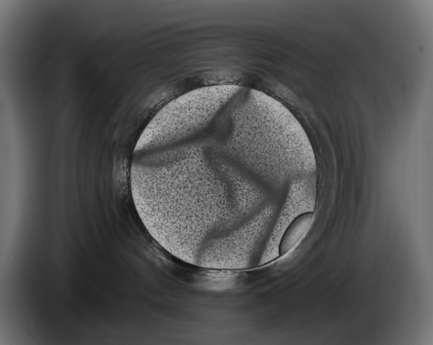 X0000086100144200704132155