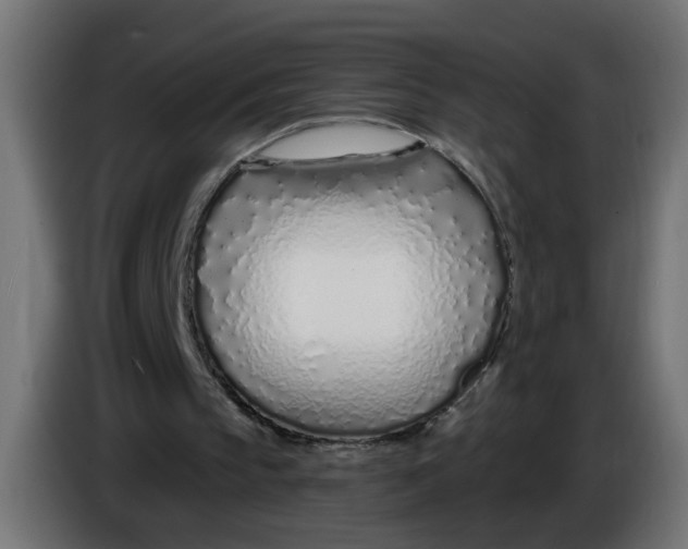 X0000086100145200704132155