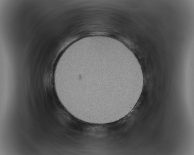 X0000086100146200704132155