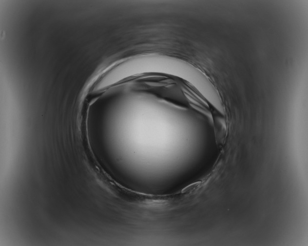 X0000086100150200704132155