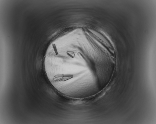 X0000086100153200704132155