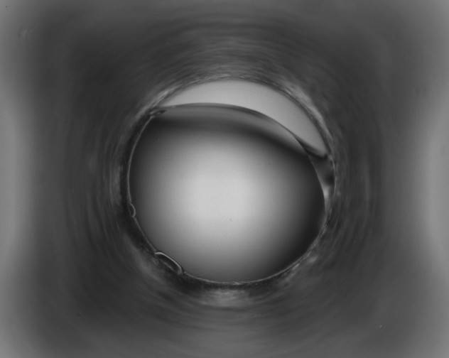 X0000086100154200704132155