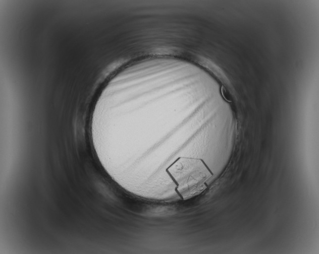 X0000086100155200704132155