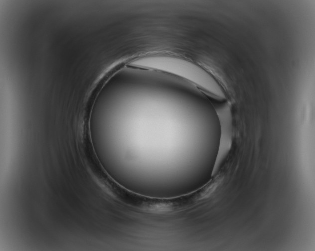 X0000086100156200704132155