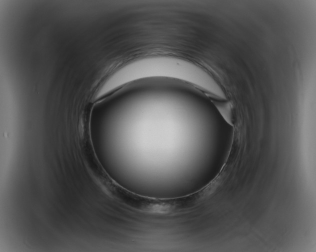 X0000086100158200704132155