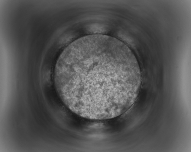 X0000086100162200704132155