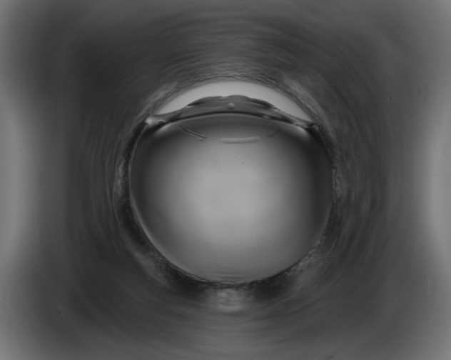 X0000086100163200704132155