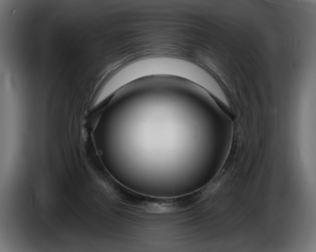 X0000086100164200704132155