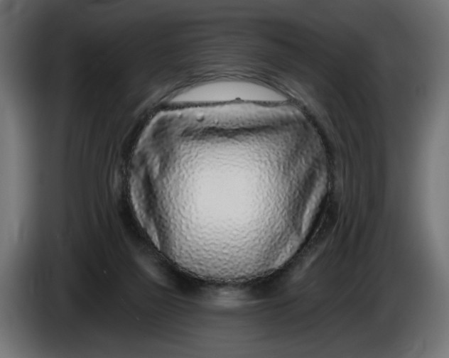 X0000086100165200704132155