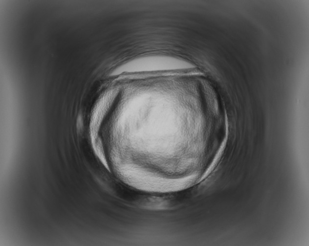 X0000086100166200704132155