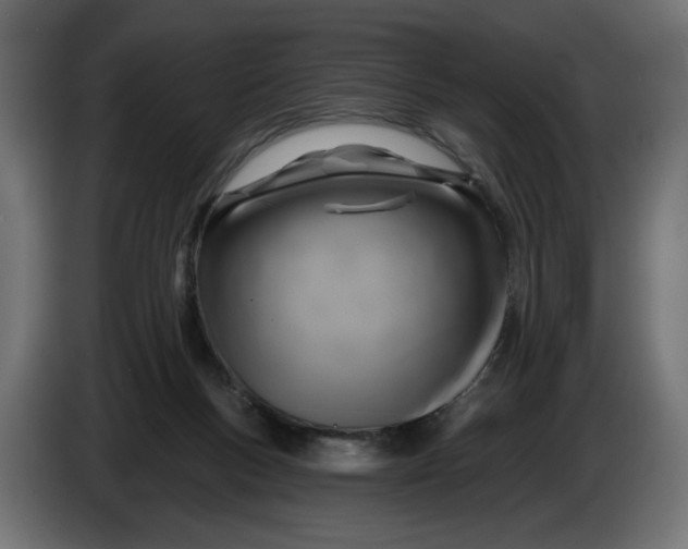 X0000086100167200704132155