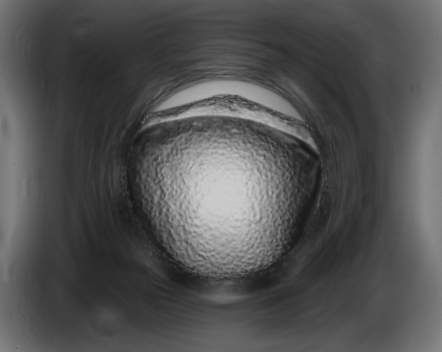 X0000086100169200704132155