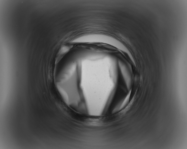 X0000086100170200704132155