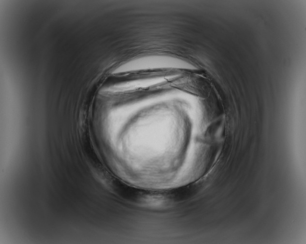 X0000086100171200704132155