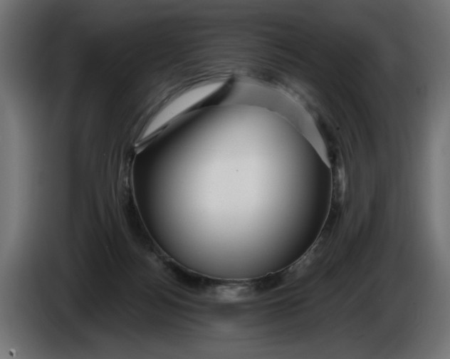 X0000086100172200704132155