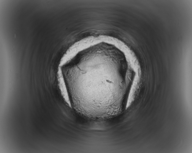 X0000086100173200704132155