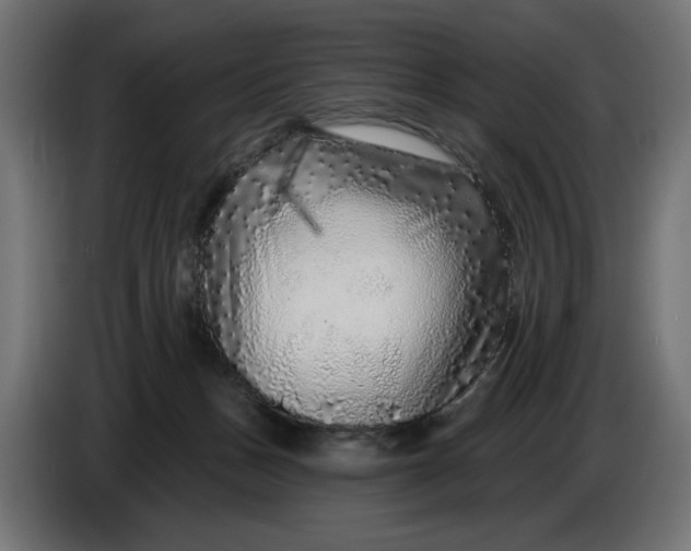 X0000086100175200704132155