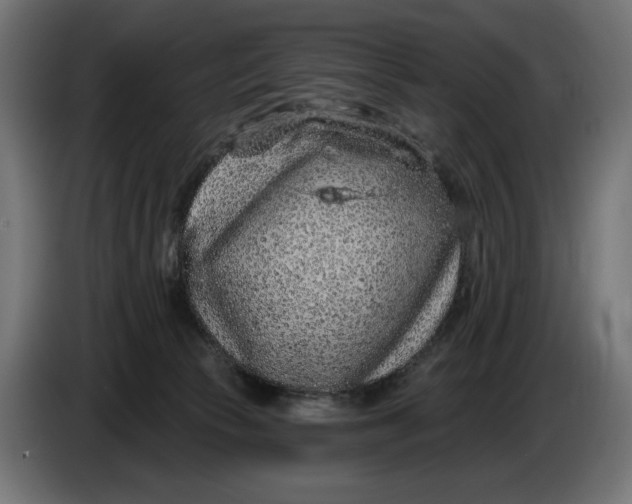 X0000086100177200704132155