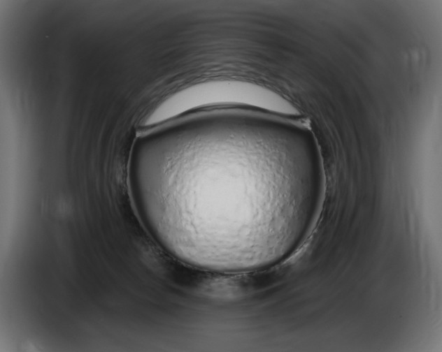 X0000086100178200704132155