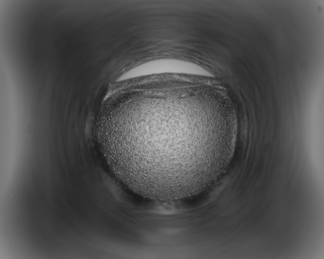 X0000086100181200704132155