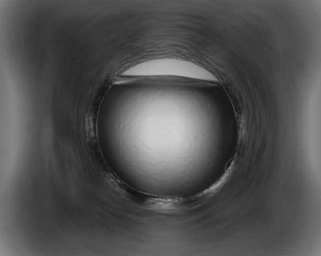 X0000086100182200704132155